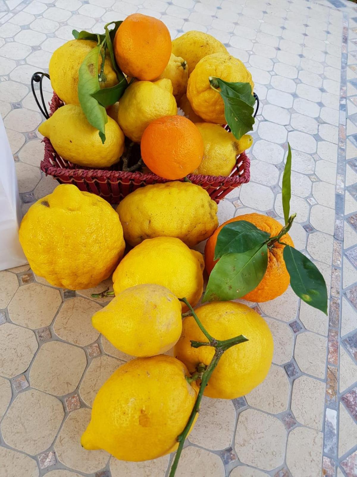 Casa Rosellina Sorrento 빌라 외부 사진